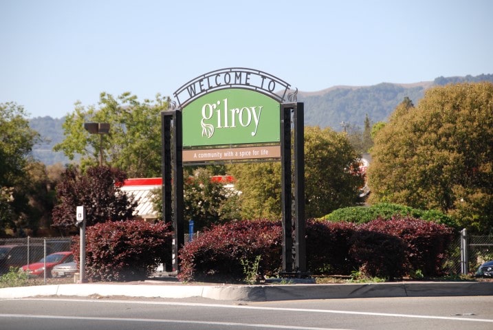 Gilroy (Small)