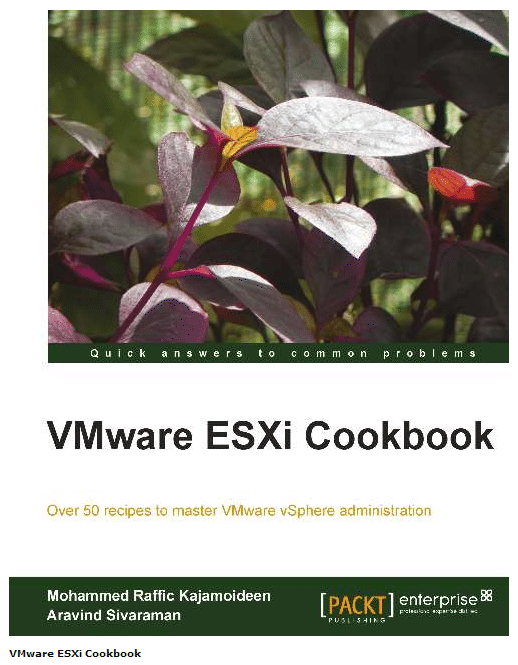 VMware ESXi Cookbook